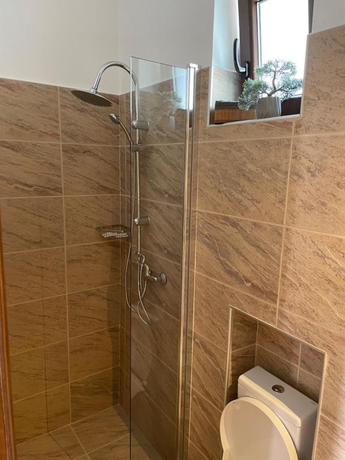 Appartement Juist à Sibiu Extérieur photo