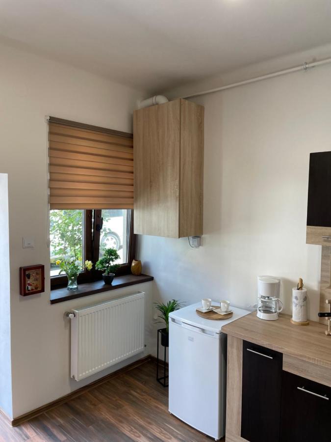 Appartement Juist à Sibiu Extérieur photo