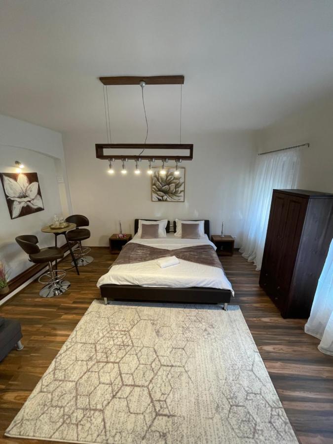 Appartement Juist à Sibiu Extérieur photo